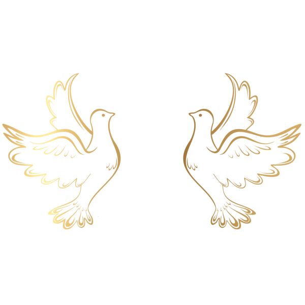 Gold Doves Thumbnail